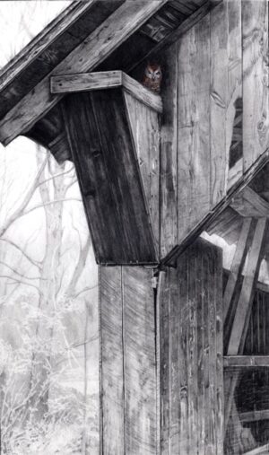 Emily's Bridge - Original Artwork