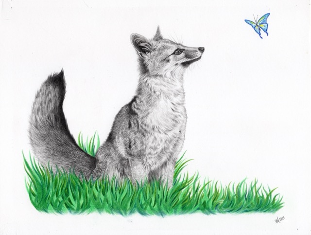 Spring Fox – Original Artwork