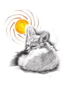 Nature Illustration