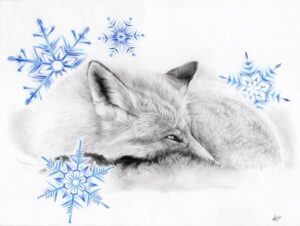 Winter Fox - Original Artwork