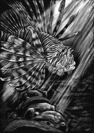 Shipwreck Trespasser - Original Artwork