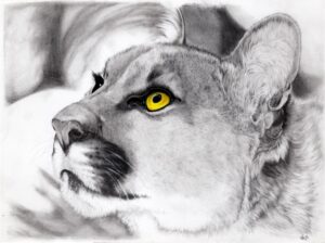 Summer Puma - Print